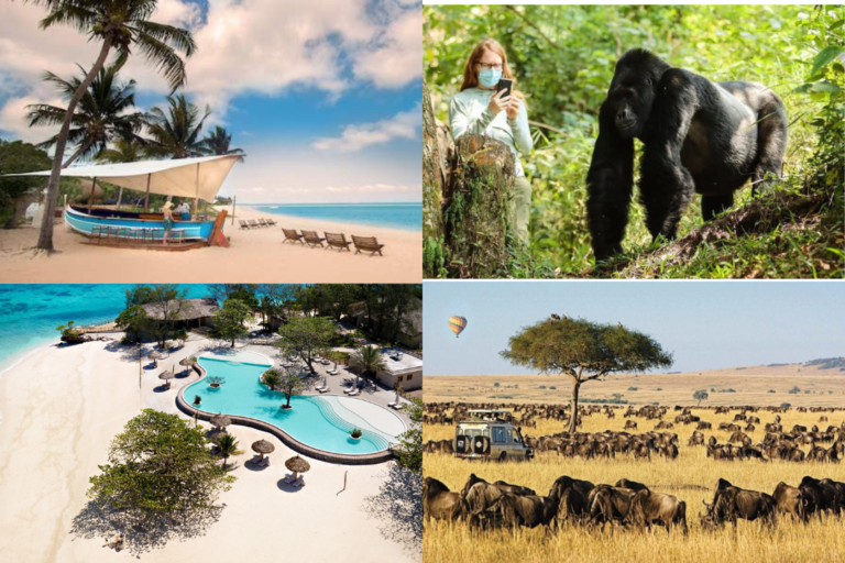 African Tourist Destinations